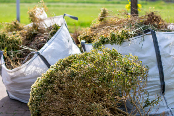Trusted Sleepy Hollow, WY Junk Removal Services Experts
