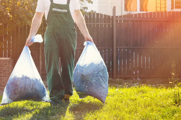 Best Same-Day Junk Removal Services  in Sleepy Hollow, WY